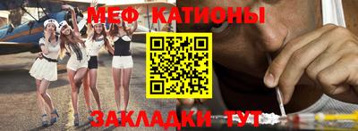 крисы Можга