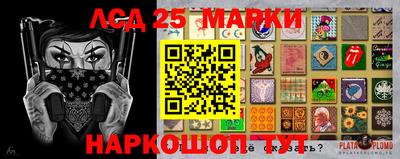 крисы Можга