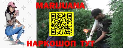 крисы Можга