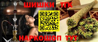 крисы Можга