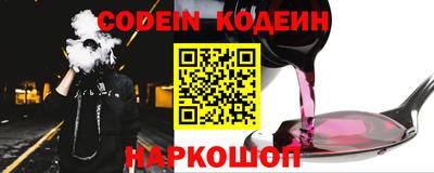 крисы Можга