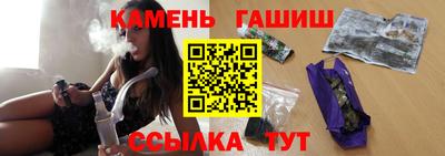 крисы Можга
